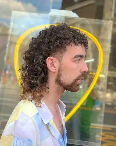 Brown Curly Mullet with Blonde Tips