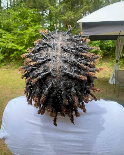 Black Twisted Freeform Dreads with Brown Tips for Men