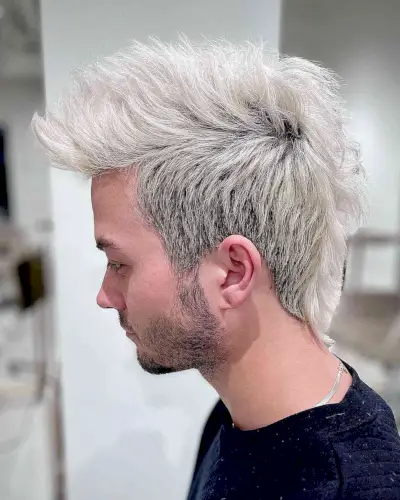 Platinum Mohawk for Men