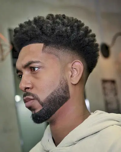 Tapered Sides + High Top and Fade