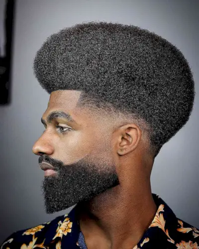Afro with a Beard Fade for Black Men