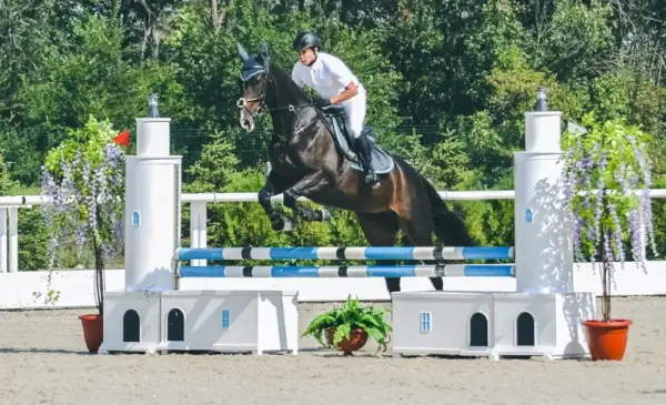 Fashionabla stövlar Ridstövlar för män