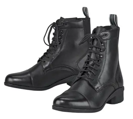 Fashionabla typer av stövlar män Ariat Heritage IV Lace Paddock Boots