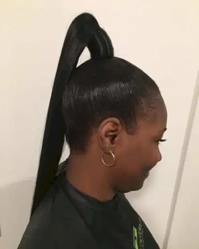 High Genie Ponytail