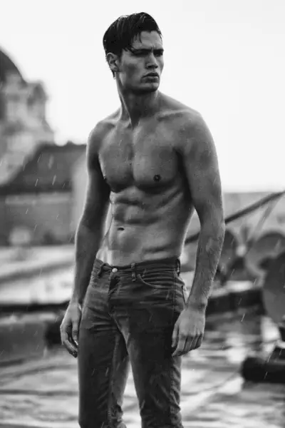 William-Roy-Modelo-002