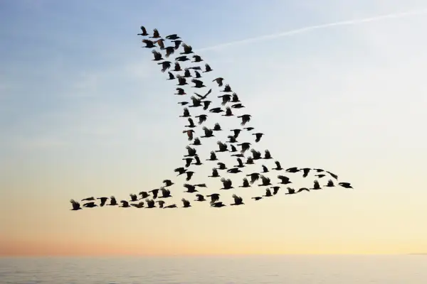 Sie könnten über Fülle nachdenken