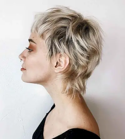 Dimensional and Textured Wolf Hairstyle 