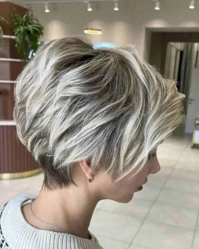 Platinum Pixie Bob with Dark Roots
