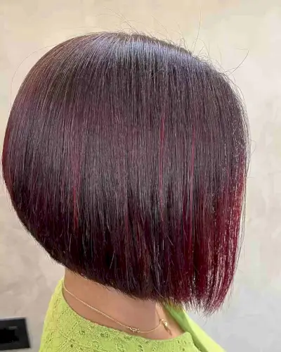 Velvet Dark Red Highlights