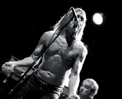 Iggy et les Stooges