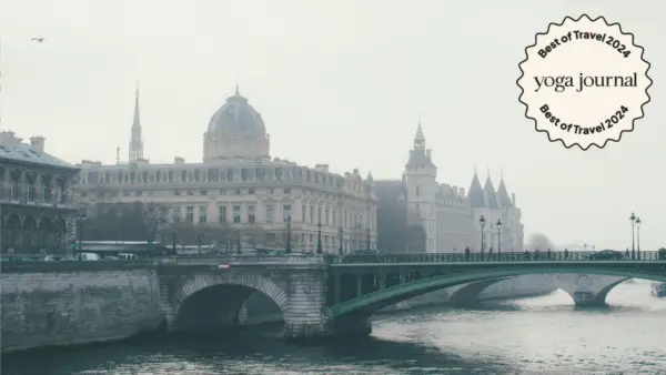 Los svyogas de París de los que todos están hablando